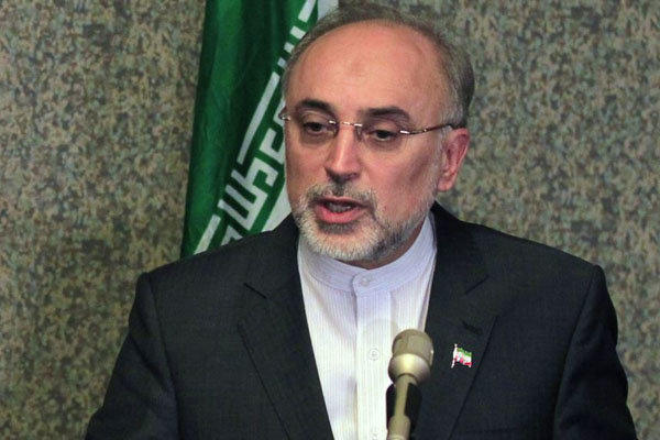علی اکبر صالحی معاون رئیس جمهور و رئیس سازمان انرژی اتمی ایران