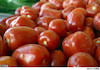 توقیف ۱۷ تن گوجه‌فرنگی قاچاق در گمرک بانه!