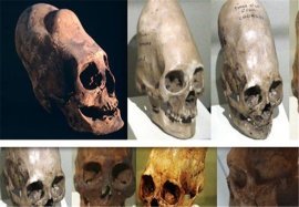 جمجمه‌های شبه انسان با DNA غیرانسانی