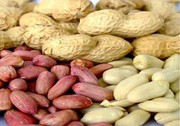 خواص بادام زمینی | بادام زمینی داروی طبیعی برای آلزایمر و دیابت