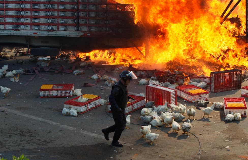 در تظاهرات های اوکساکای مکزیک تظاهر کننده ها یک کامیون حمل طیور را به آتش کشیدند