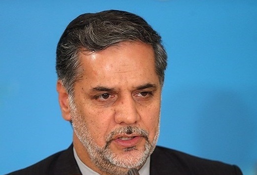 سیدحسین نقوی حسینی