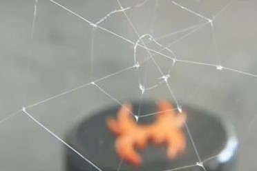 تولید تار عنکبوت به صورت انبوه