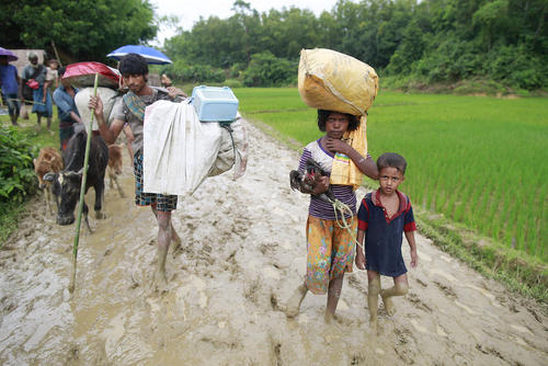رسیدن پناهجویان مسلمان میانماری به بنگلادش