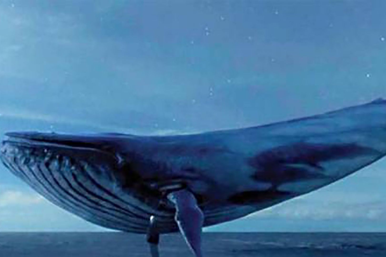 چالش نهنگ آبی