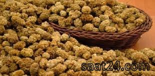خواص توت خشک