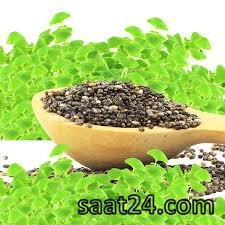 خواص بارهنگ