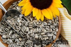 خواص تخمه آفتاب گردان