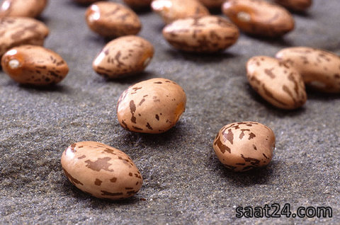 لوبیا چیتی