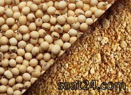 خواص سویا