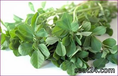 خواص شنبلیله