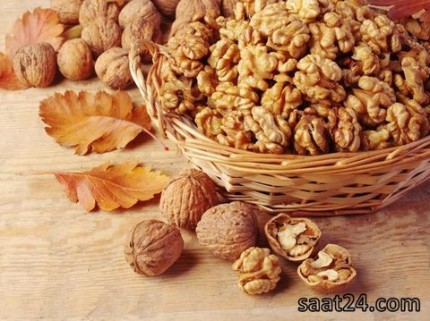 خواص گردو