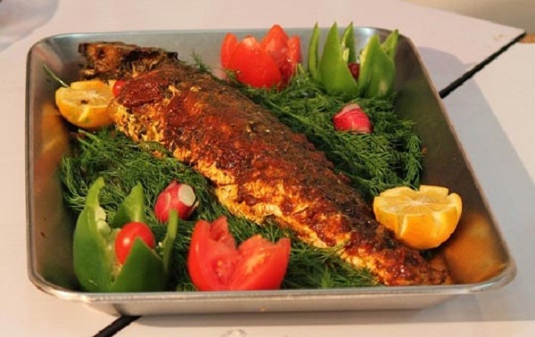 ماهی شکم پر جنوبی