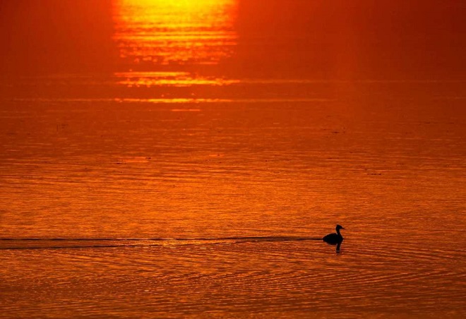 منظره‌ای از طلوع خورشید در امتداد دریاچه ولیکیا، بلاروس.