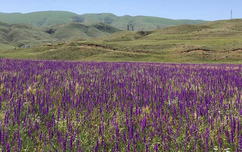 لذت سفر جاده‌ ای در جنوب ارمنستان