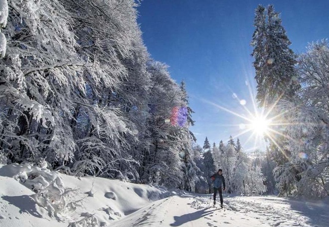 اسکی باز در برف کوه‌های آلمان
