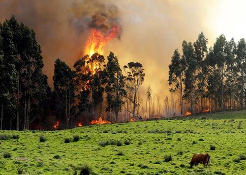 آتش‌سوزی در جنگل‌های شمال اسپانیا