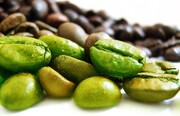 قهوه سبز چیست | معجزه قهوه سبز برای لاغری