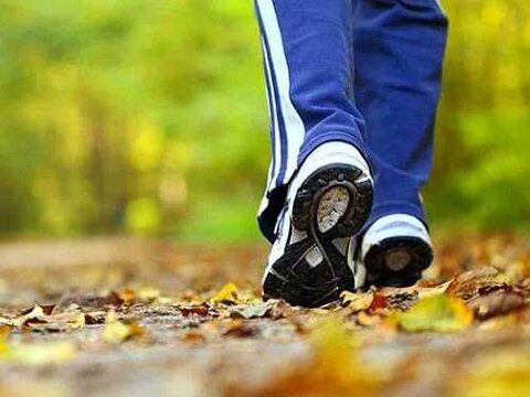راه رفتن یا دویدن: کدام ورزش بهتری است؟ پیاده زوی