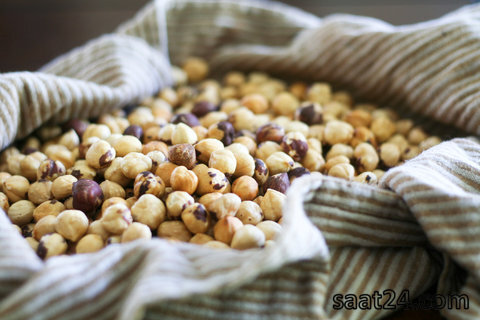 خواص فندق در طب سنتی