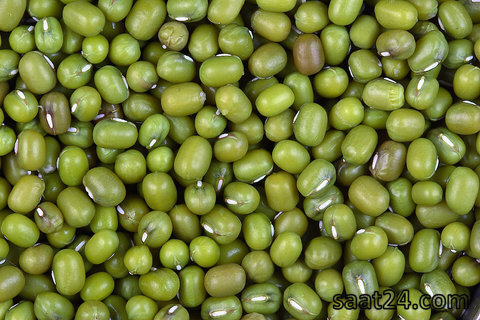 خواص ماش در طب سنتی
