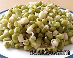خواص ماش در بارداری