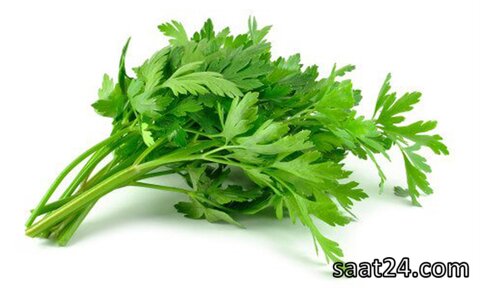 خواص جعفری