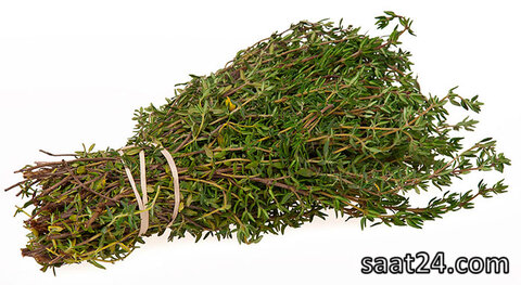 خواص آویش برای پوست