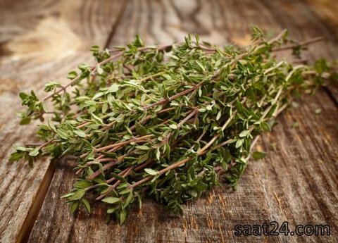 آویشن برای درمان سرفه و تنگی نفس