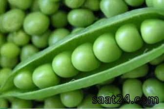 خواص نخود برای مو