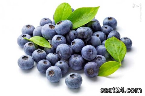 بلوبری برای لاغری