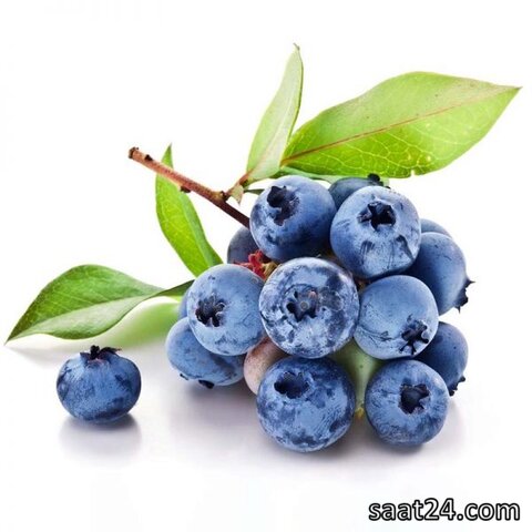 خواص بلوبری برای مغز