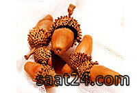 خواص درمانی بلوط