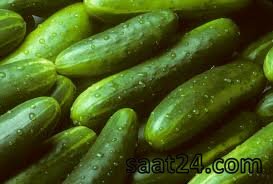 خواص خیار برای دیابت