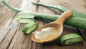 خواص آلوورا برای درمان آسم و سینوزیت