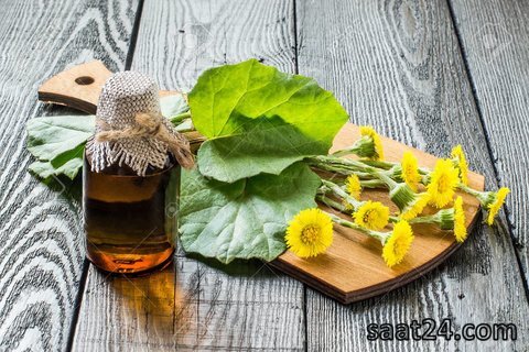 مضرات پای خر