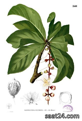 موارد استفاده از جدوا