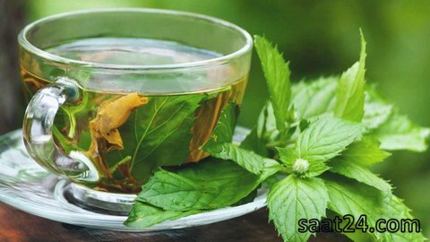 خواص ضد میکروبی نعنا فلفلی