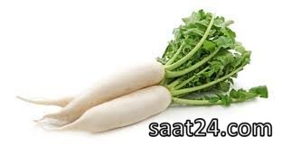 خواص تربچه دایکون