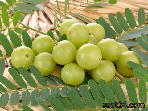 خواص آملا برای قلب