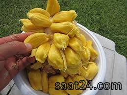 خواص سمپداک