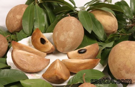 خواص چیکو