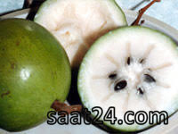 خواص ضد اسهال سیب ستاره ای