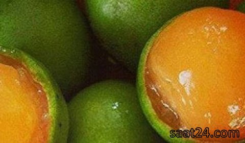 خواص ضد سرطانی لیموترش اسپانیایی