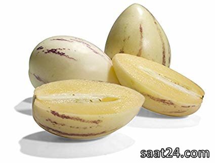خواص پینو دلچه برای سرطان