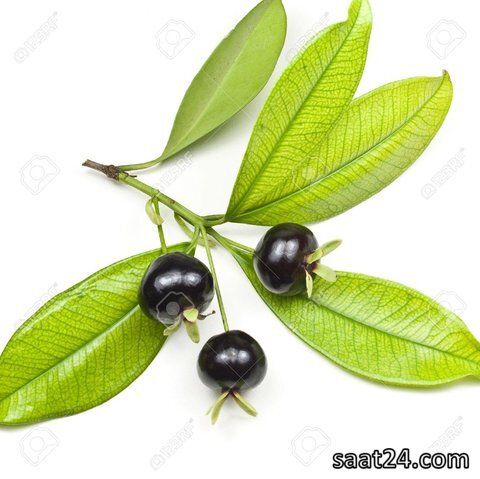 خواص گرومیچاما برای یبوست