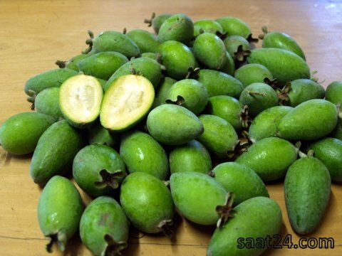 خواص ضد سرطان فیجوآ 