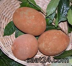خواص کوپوآکو برای سیستم ایمنی بدن