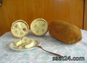 خواص کوپوآکو برای فشار خون و قلب