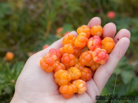 خواص کلاودبری